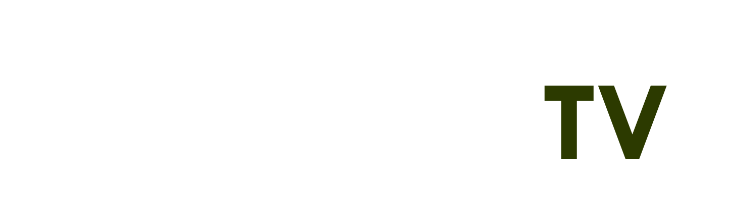 Chiều Dài Xe 7 Chỗ - argue
